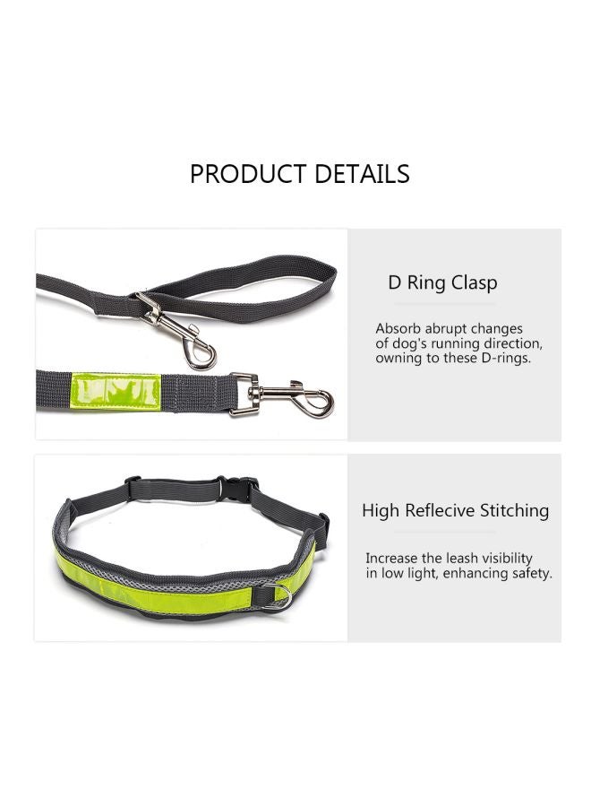Generic - 4-Piece Dog Leash With Reflective Waist Belt Dispenser Bag And Pouch Set Grey/Green - Image 1