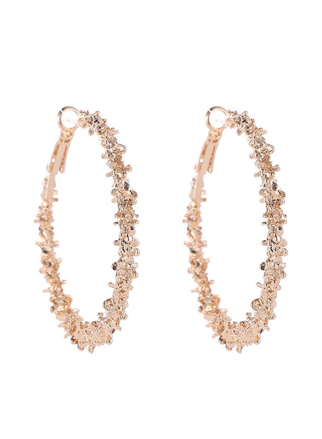 Generic - Alloy Elegant Hoop Earrings - Image 1
