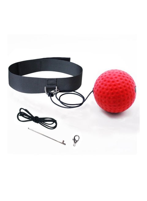 Reflex Speed Punch Ball