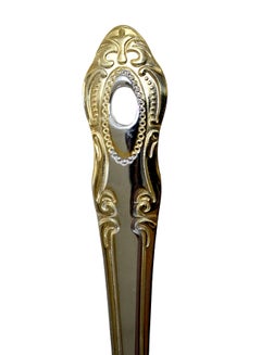 Cc Golden Frame Serving Spoon Silver 25centimeter  - Image 3