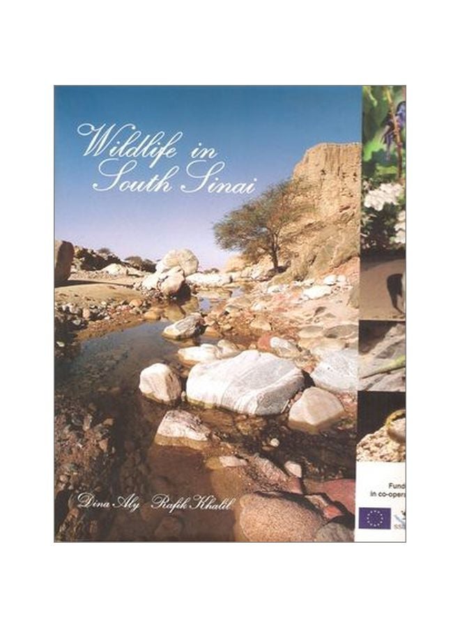 Wildlife In South Sinai paperback english 