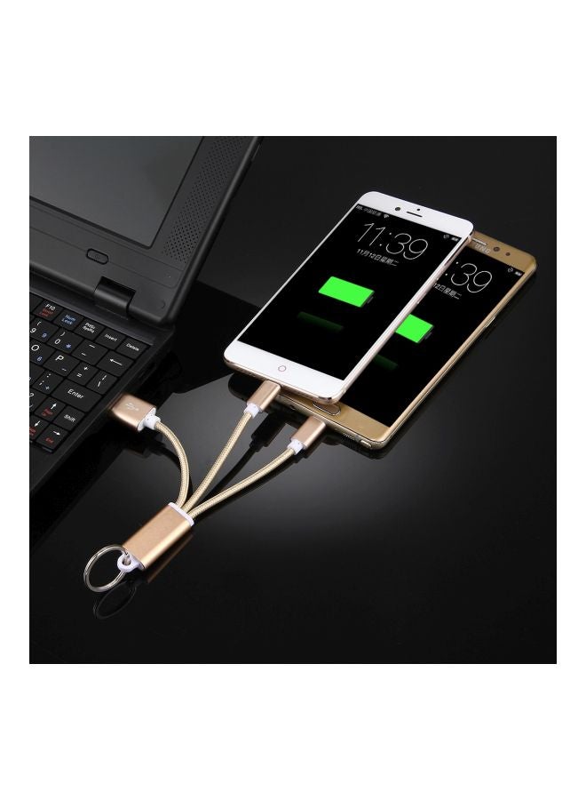 كابل شحن ومزامنة بيانات 3 في 1 بمنفذ مايكرو USB مع سلسلة مفاتيح ذهبي - Image 2