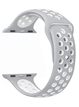 Silver/White