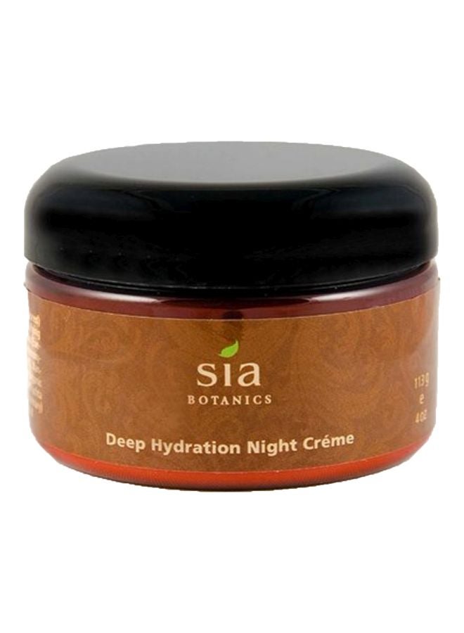 Deep Hydration Night Cream - v1572958659/N29323364A_1