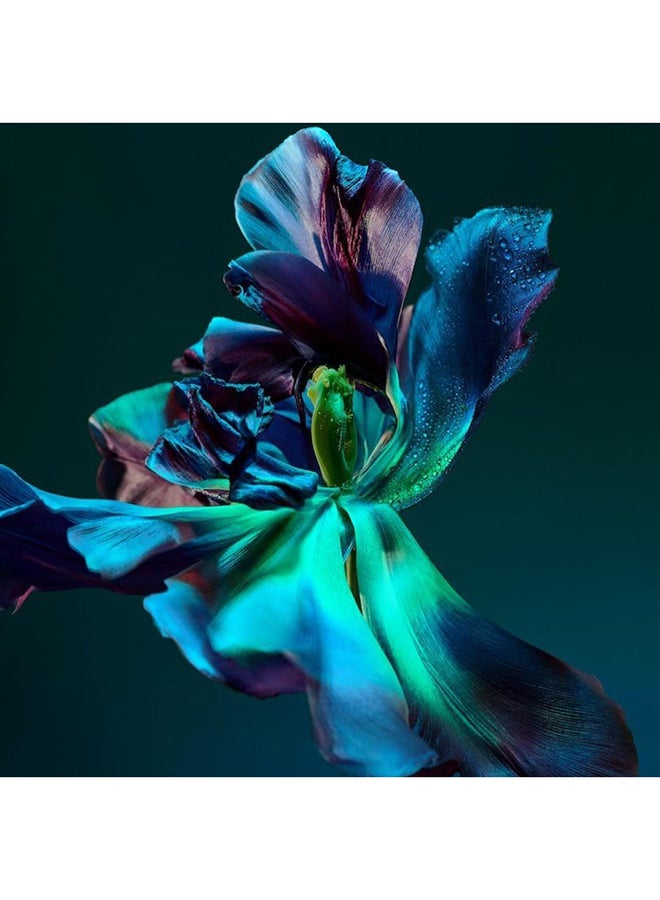 شوبارد ماء عطر أورانج موريسك 100ملليلتر - Image 4