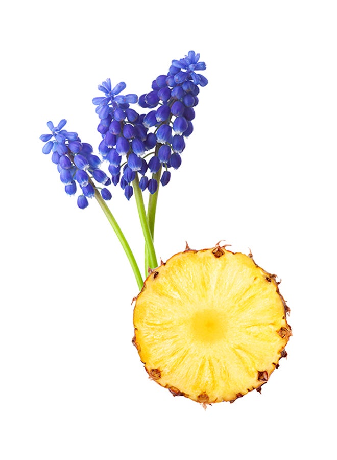 ماء عطر أكسينتو 100ملليلتر