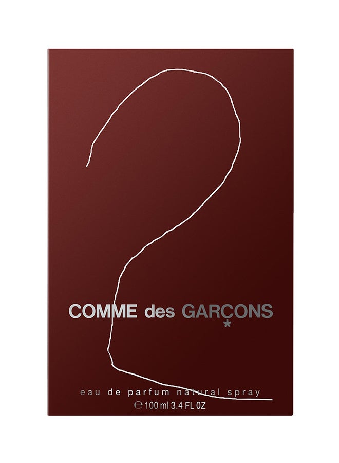 COMME DES GARCONS - Comme Des Garcons 2 EDP 100ml - Image 1