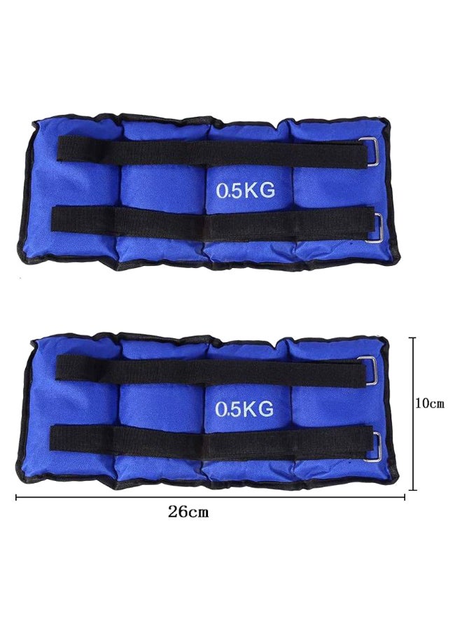 Max Strength Adjustable Ankle Wrist Weight Band  - Image 2