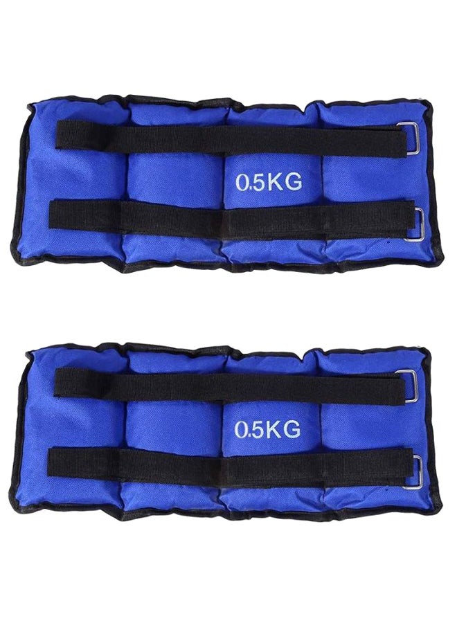 Max Strength Adjustable Ankle Wrist Weight Band  - Image 1