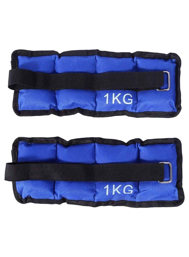 Max Strength Adjustable Ankle Wrist Weight Band  - Image 1