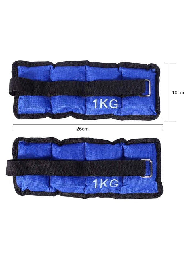 Max Strength Adjustable Ankle Wrist Weight Band  - Image 2