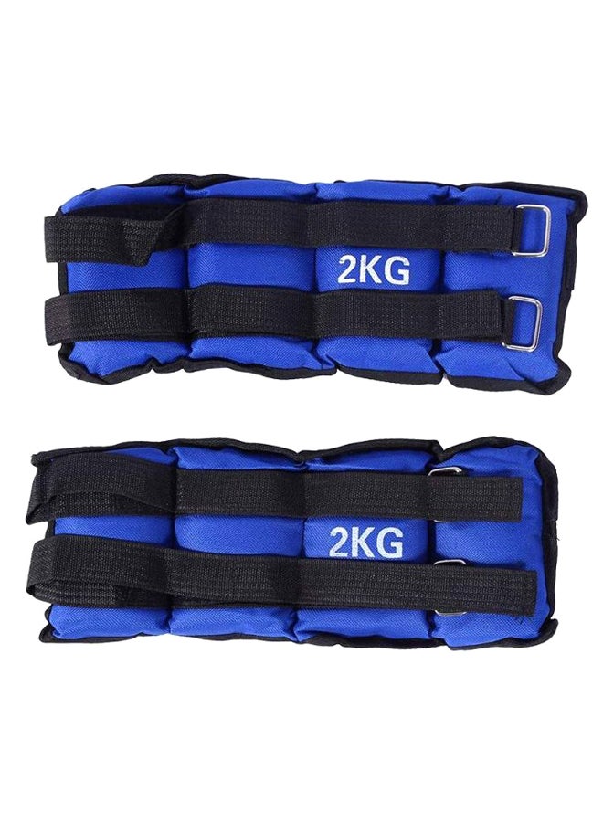 Max Strength Adjustable Ankle Wrist Weight Band  - Image 1