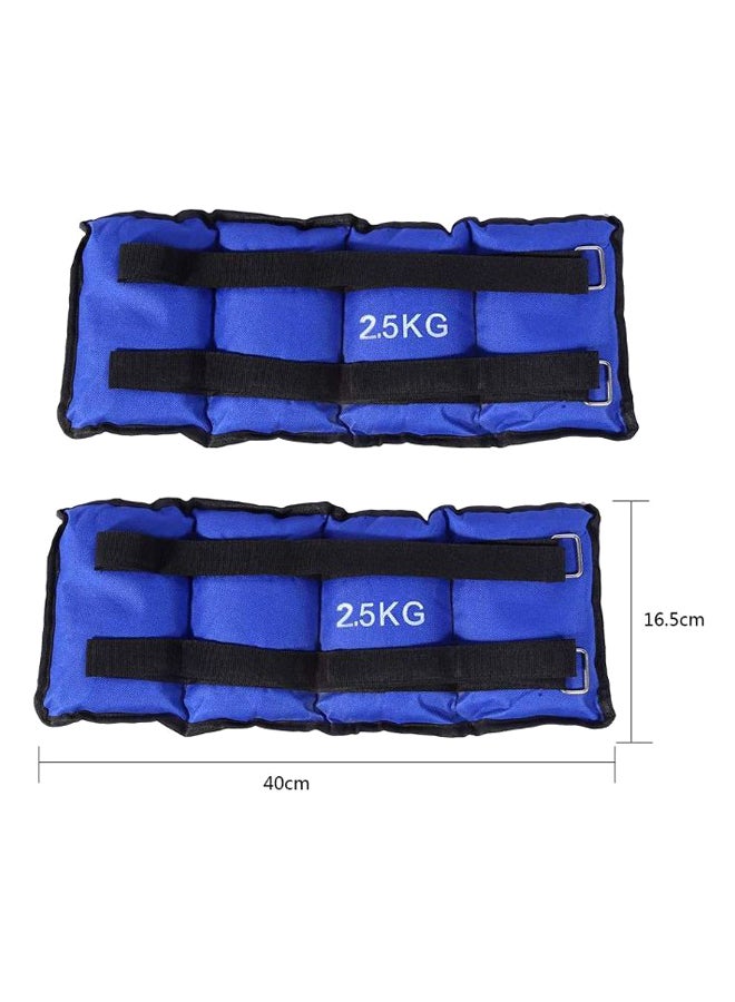 Max Strength Adjustable Ankle Wrist Weight Band  - Image 2