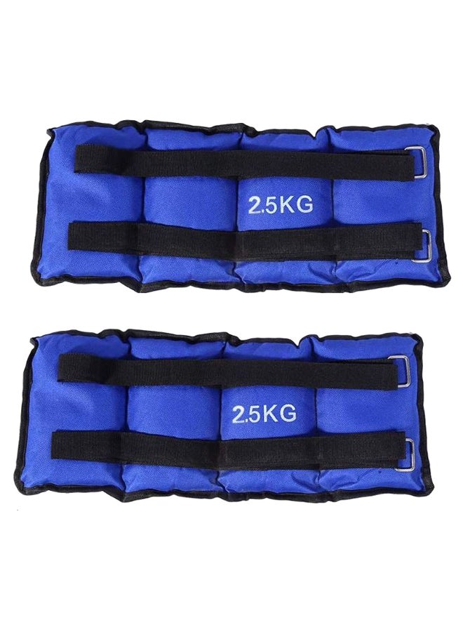 Max Strength Adjustable Ankle Wrist Weight Band  - Image 1