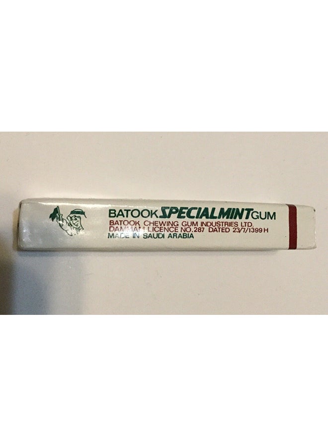 Batook - Specialmint Chewing Gum 5 sticks 12.5grams - Image 1