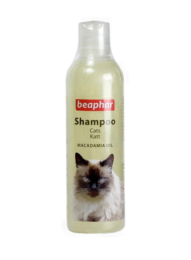 Macadamia Oil Shampoo For Cat 250ml - v1574052931/N16238785A_1