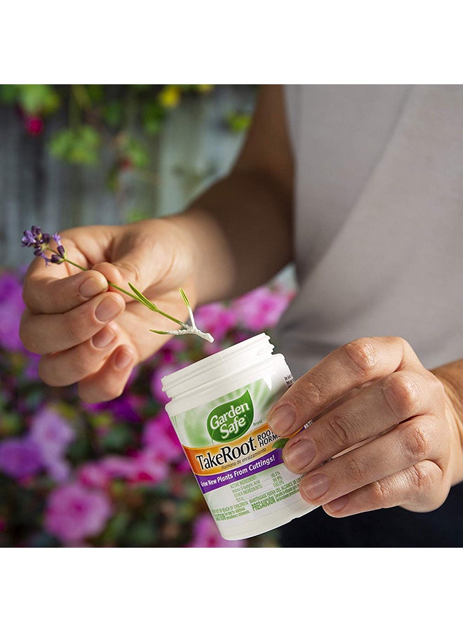 Garden Safe Take Root Rooting Hormone Fertilizer White - Image 5