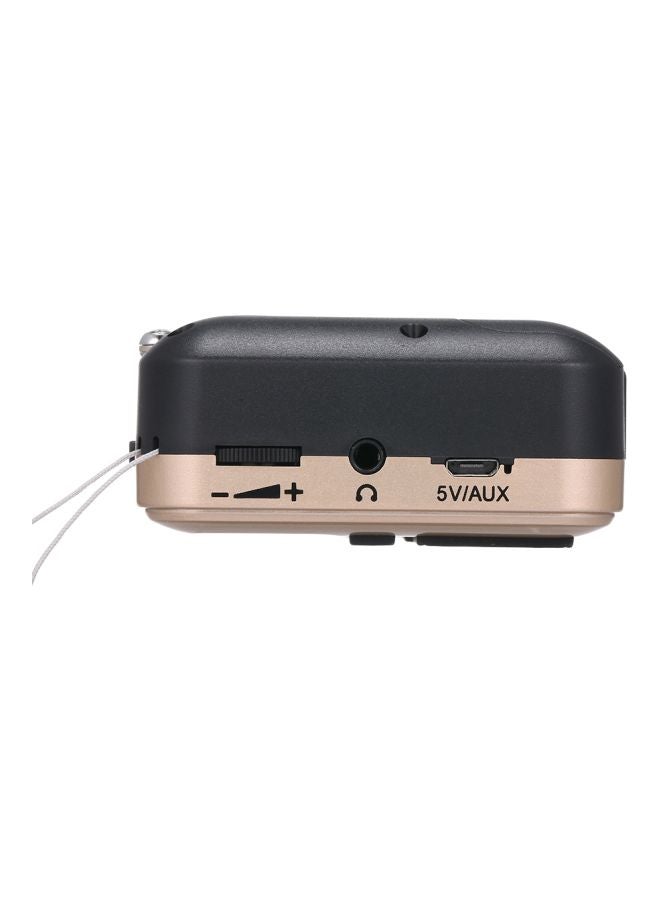 Generic FM Radio With MP3 Player Y-509 Gold/Black/Silver  - Image 2