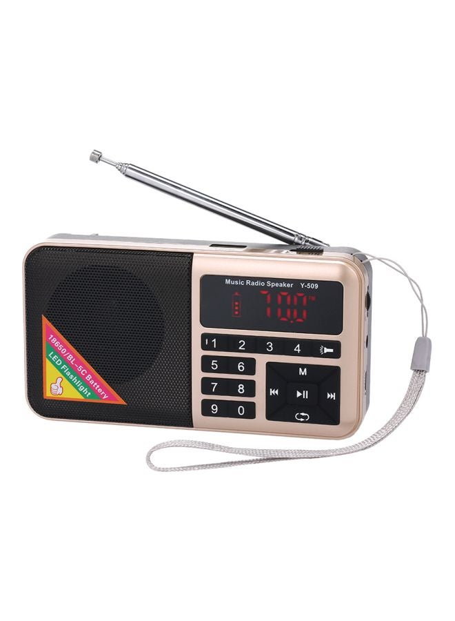Generic FM Radio With MP3 Player Y-509 Gold/Black/Silver  - Image 1