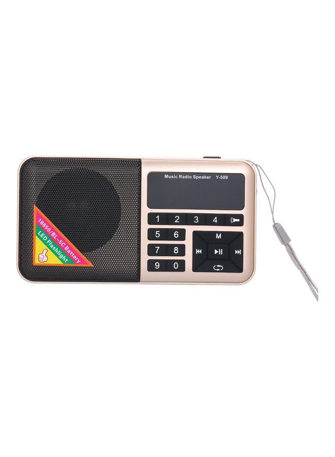 Generic FM Radio With MP3 Player Y-509 Gold/Black/Silver  - Image 3