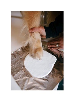 pearhead Pet Pawprint Imprinted Photo Frame  - Image 3
