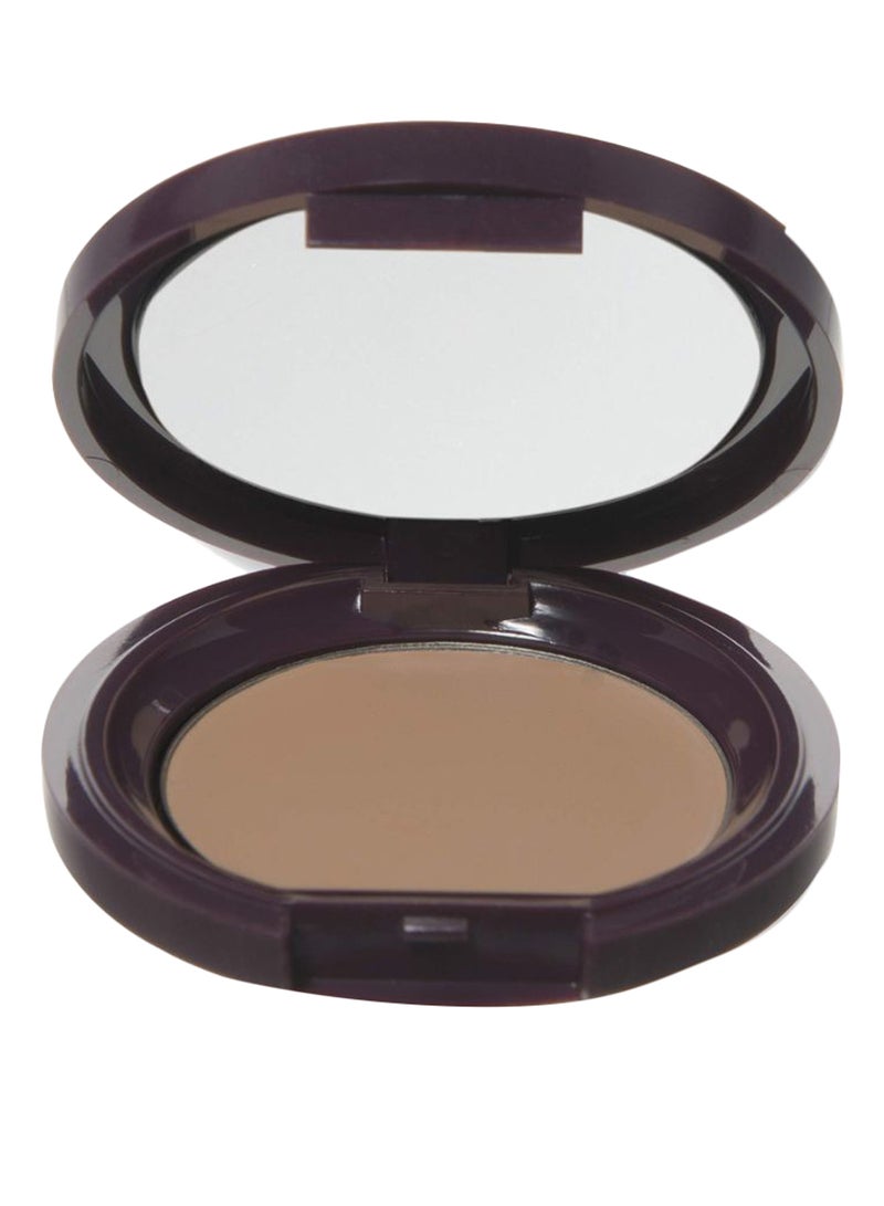 Fruit Pigmented Long Last Compact Concealer Toffee - v1574404935/N32183908A_1