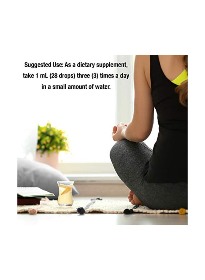 NATURE'S ANSWER Devil's Claw Extract Herbal Supplement 370mg - Image 4