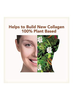 PlantFusion Complete Plant Collagen Builder - Creamy Vanilla Bean 324grams  - Image 3