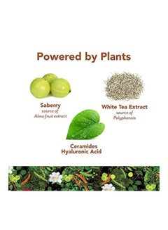 PlantFusion Complete Plant Collagen Builder - Creamy Vanilla Bean 324grams  - Image 4