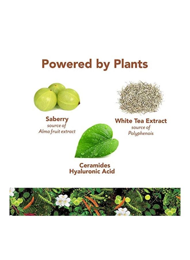 PlantFusion Complete Plant Collagen Builder - Creamy Vanilla Bean - Image 4