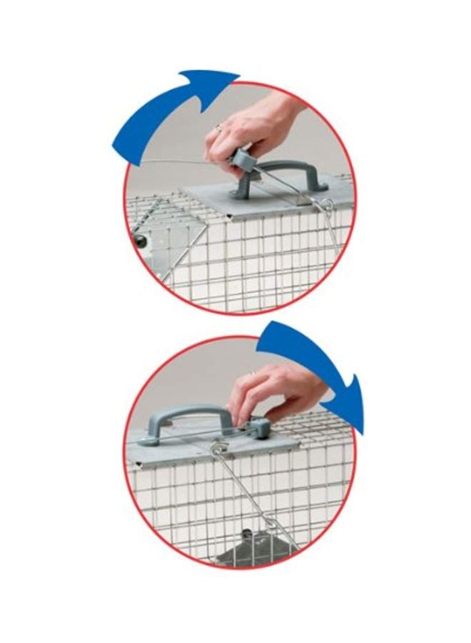 Havahart Single Door Steel Cage Trap Silver - Image 3
