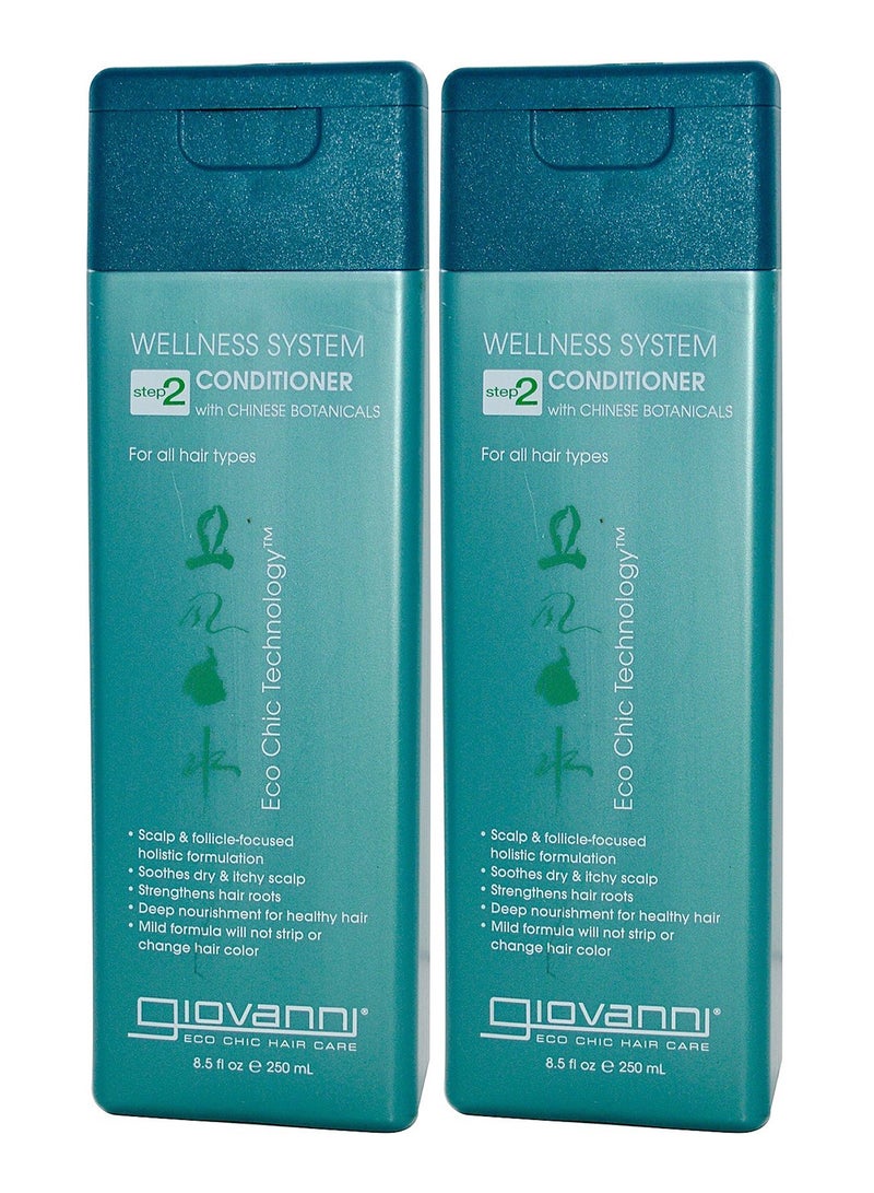 Giovanni 2-Piece Chinese Botanicals Wellness System Conditioner Set 2 x 250ml  - Image 1