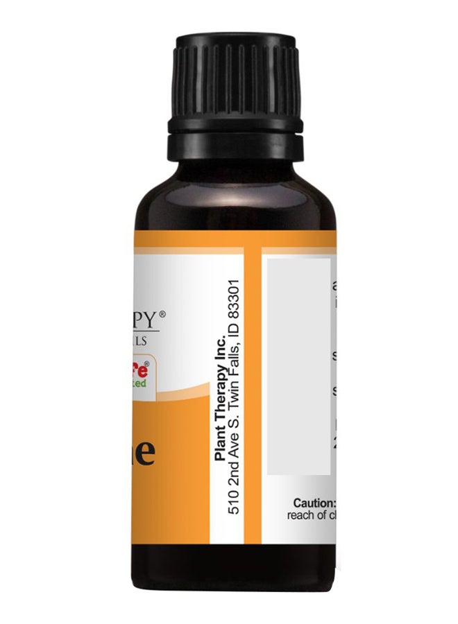 Plant Therapy Tangerine Citrus Reticulata Essential Oil 30ml  - Image 3