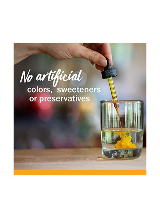 HERB PHARM Lemon Balm Calm Liquid - Image 4