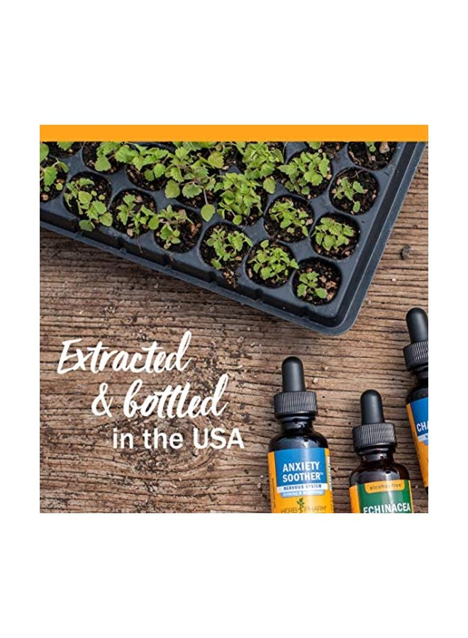 HERB PHARM Lemon Balm Calm Liquid - Image 5