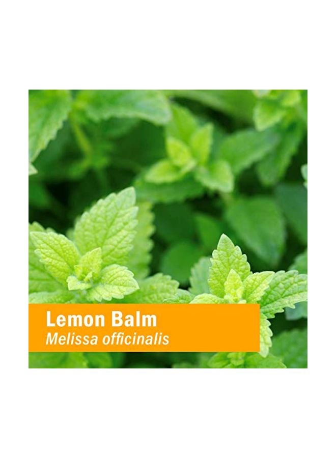 Lemon Balm Calm Liquid - v1574757298/N32264928A_6