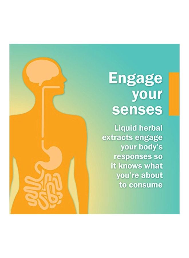 HERB PHARM Eleuthero Energy And Vitality Herbal Supplement - Image 3