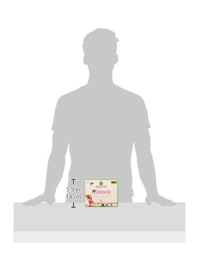 HYLEYS Tea 84-Piece Foil Envelope Tea Bag - Image 4