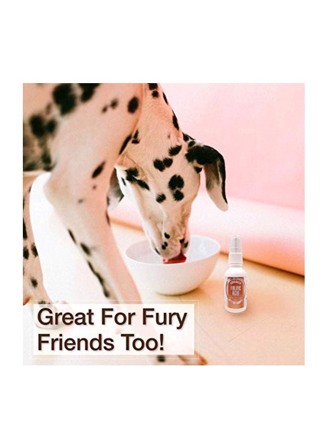 سي سي أل سبلامنتس حمض الفولفيك المطور - Image 5