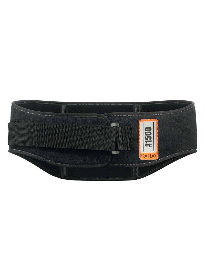 Ergodyne Weight Lifters Style Back Support Belt