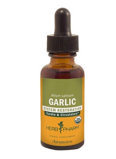 Garlic System Restoration Support