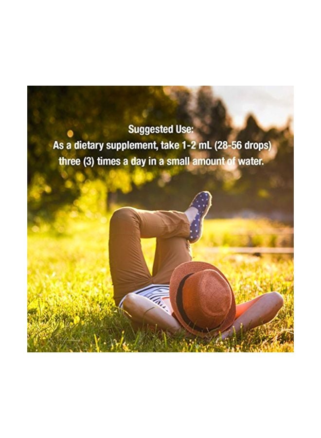 NATURE'S ANSWER Valerian Herbal Supplement 60 ML - Image 3