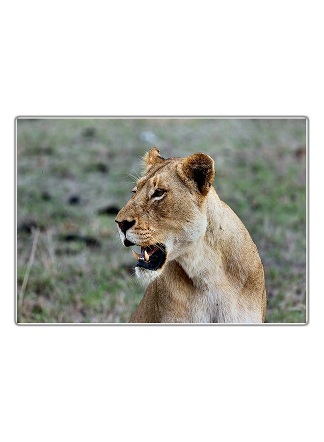 Fast Print Decorative Printed Tableau Painting Multicolour 29.7x21cm