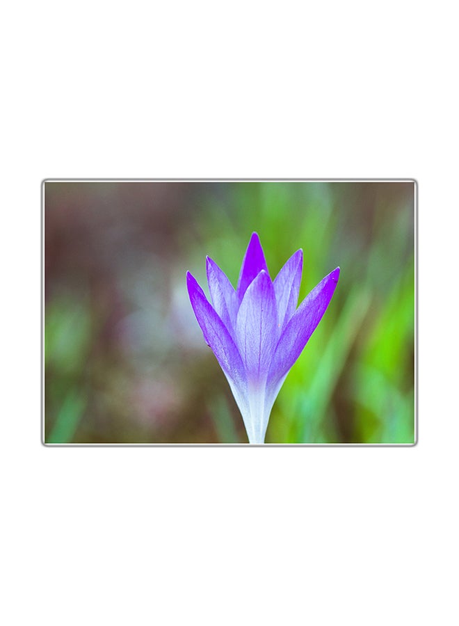 لوحة فنية مطبوعة للزينة متعدد الألوان 29.7x21سم