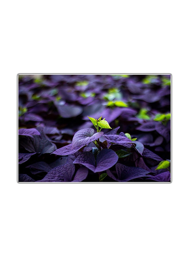 فاست برينت لوحة فنية مطبوعة للزينة متعدد الألوان 29.7x21سم