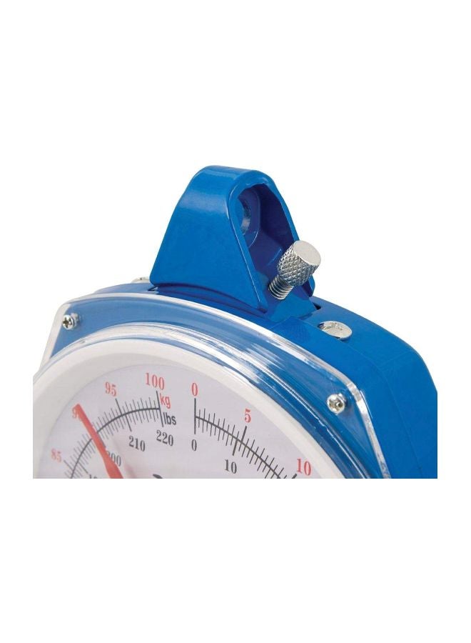 CAMRY - Hanging Scale 100kg Blue/White 22centimeter - Image 1