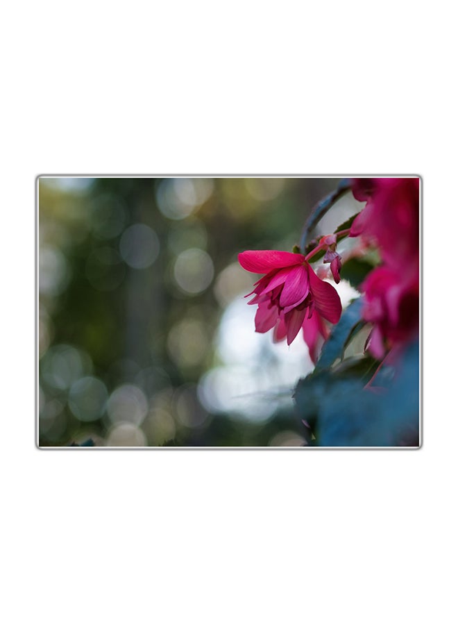 لوحة فنية مطبوعة للزينة متعدد الألوان 29.7x21سم