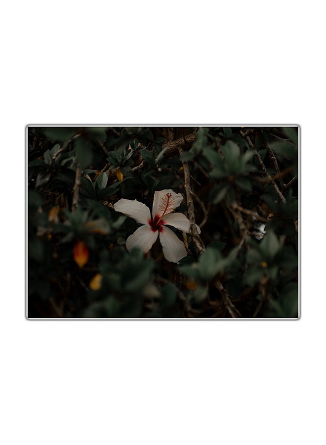 لوحة فنية مطبوعة للزينة متعدد الألوان 29.7x21سم