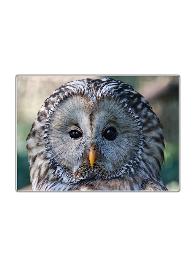 Decorative Printed Tableau Painting Multicolour 29.7x21cm