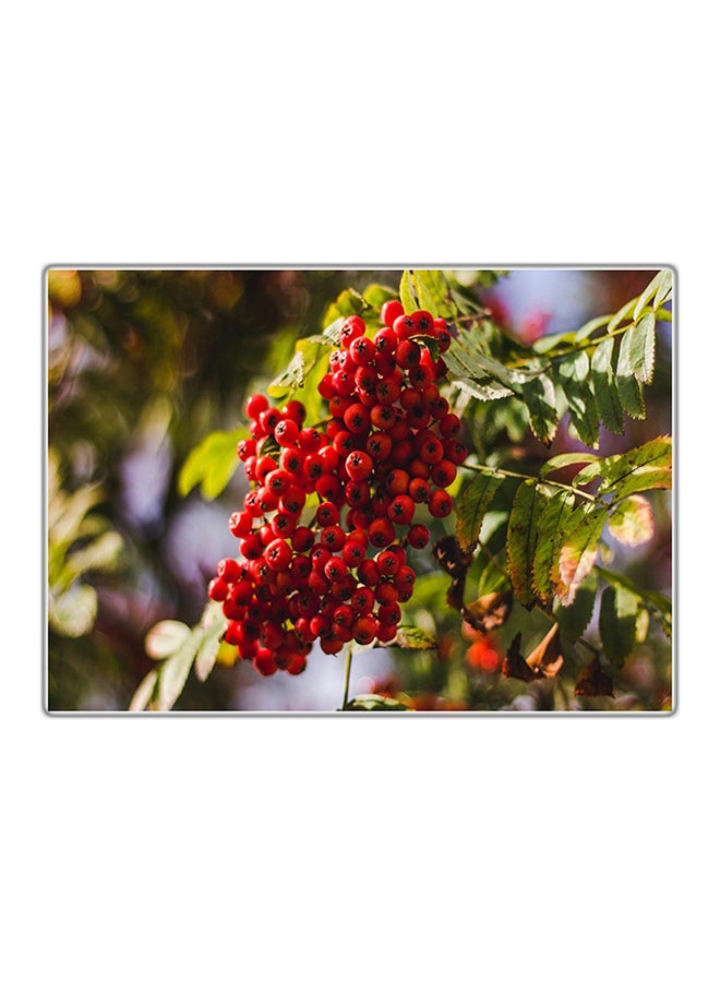 لوحة فنية مطبوعة للزينة متعدد الألوان 29.7x21سم